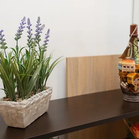 Appartement Le Alex